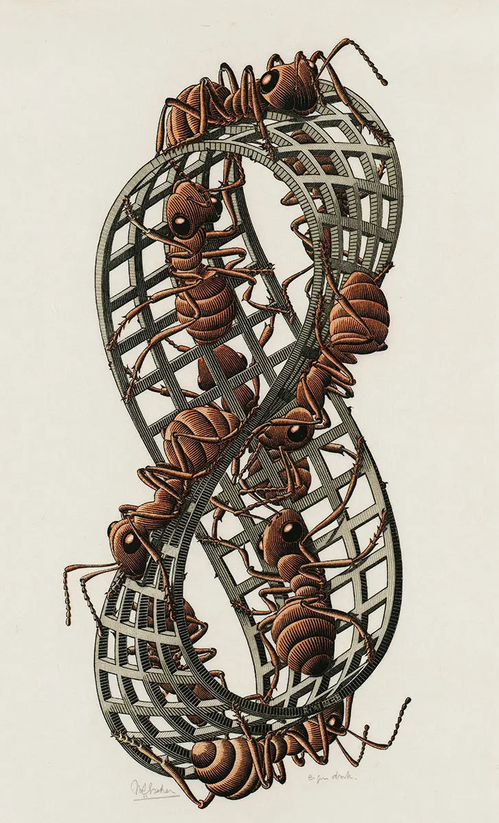 M.C. Escher, Möbius Strip II (1963) © The M.C. Escher Company